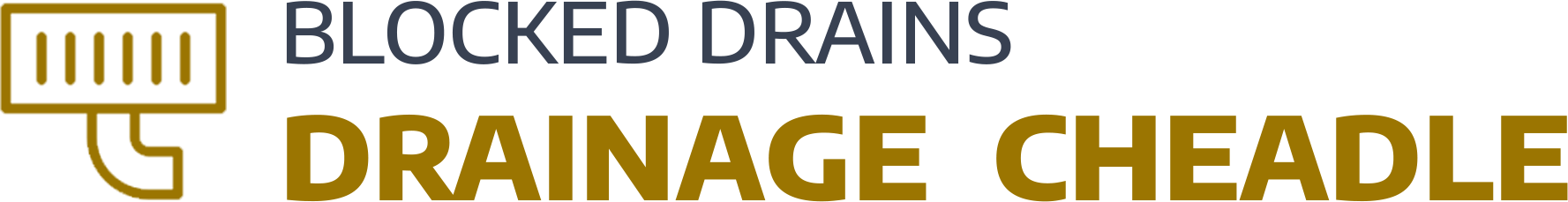 website logo